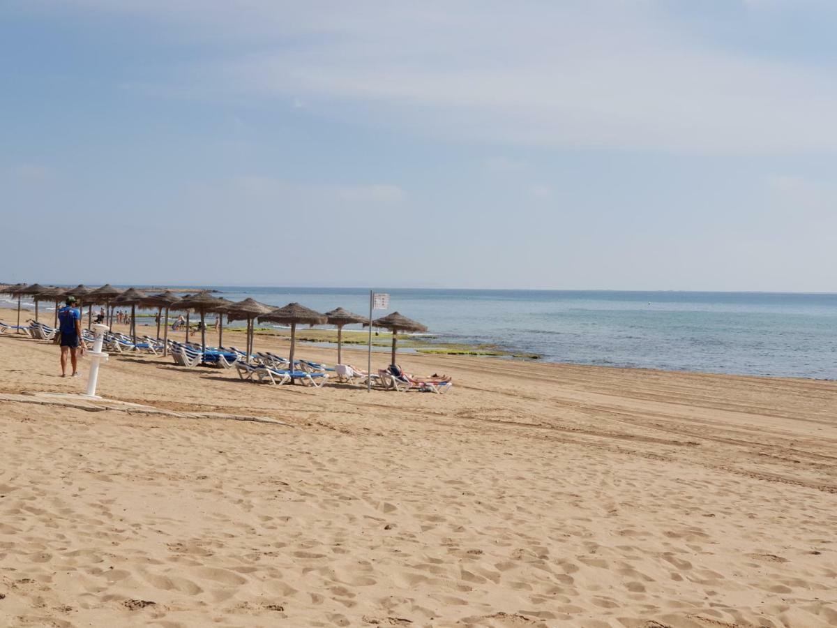 Azul Beach - La Mata Lejlighed Torrevieja Eksteriør billede